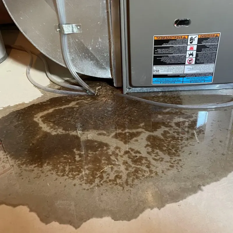 Pipe Burst and Leak Restoration in Madeira, OH