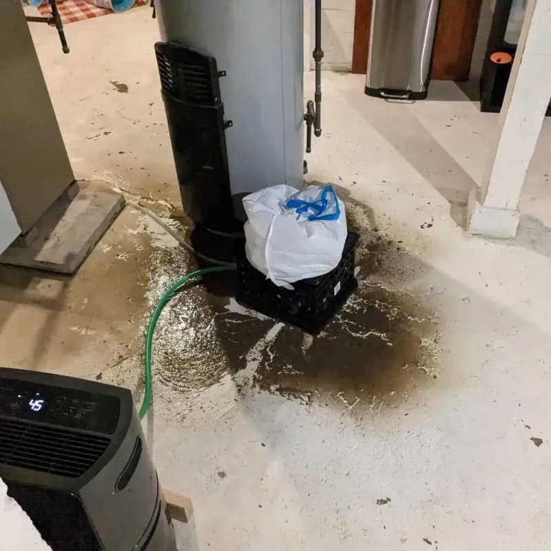Sewage Backup Cleanup Service in Madeira, OH